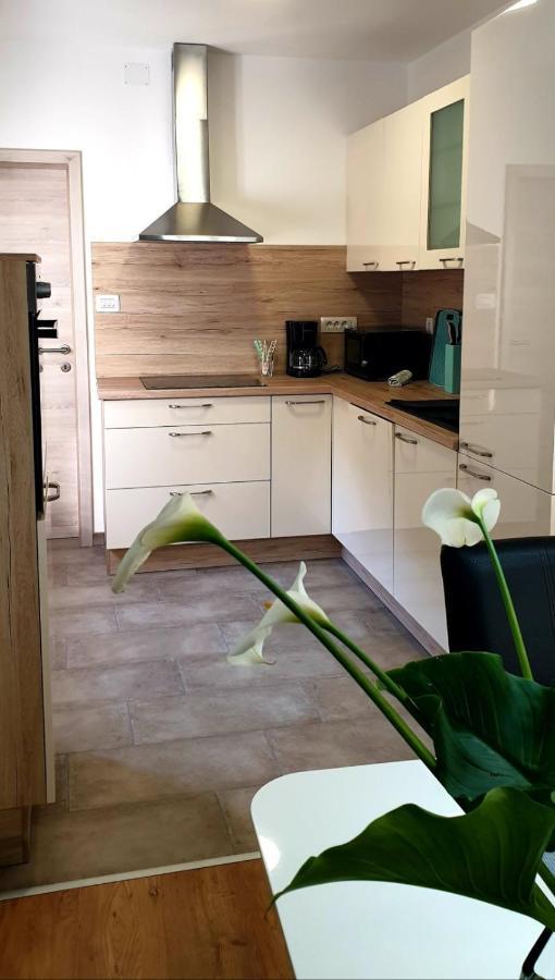 Apartman Ela Donji Rukavac Εξωτερικό φωτογραφία