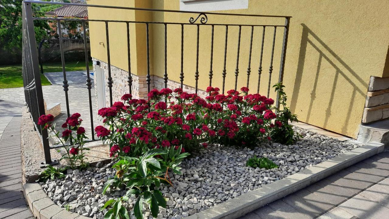 Apartman Ela Donji Rukavac Εξωτερικό φωτογραφία